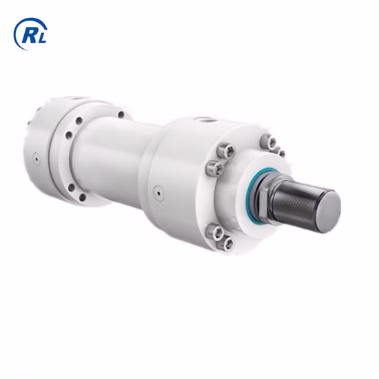 Qingdao Ruilan fournit un vérin hydraulique électrique soudé à un prix compétitif